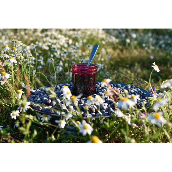 Blueberry Jam 8oz jar, American Berry Farm